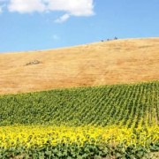 Viaggi di caccia: il Molise, terra da scoprire